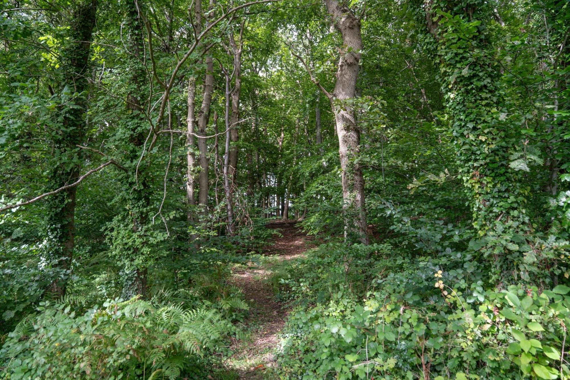 Gite 9 Personnes Fecamp Etretat Colleville Exteriör bild
