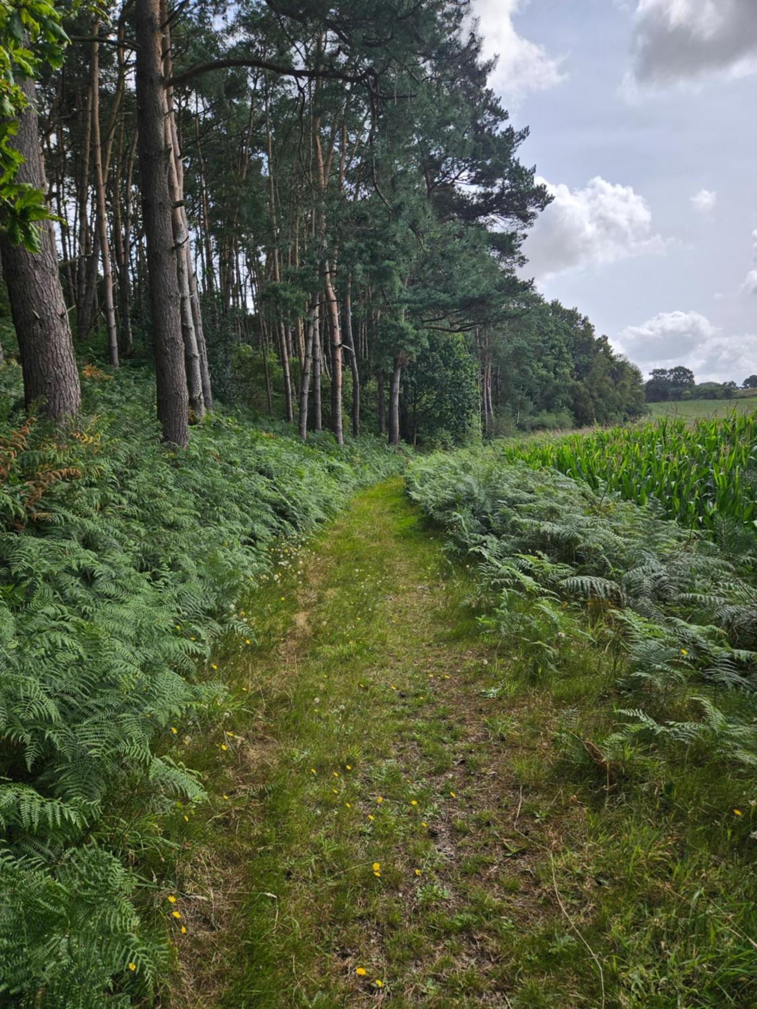 Gite 9 Personnes Fecamp Etretat Colleville Exteriör bild